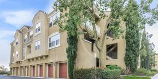 Laurel Terrace Apartment Homes Gallery 15