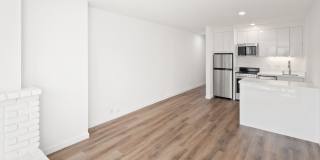 Telegraph Hill Gallery 25