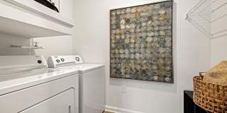 Vinoy St Johns Gallery 6