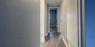 Buena Casa Gallery 33