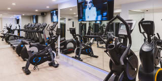 Alister Falls Church Gallery 27