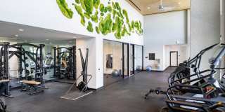 Avalon South Miami Gallery 55