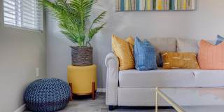 Ashford Apartments Gallery 1