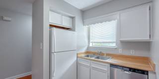 CUTE 2/1.5 w/ New Paint, Washer and Dryer, Close to TCC & FSU! Available NOW for $1050/month! Gallery 9