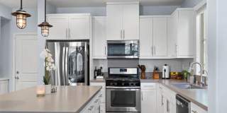 524 Turnstone Lane - 1 Gallery 1