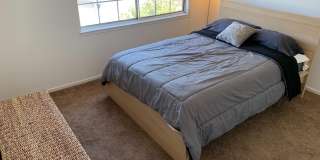 615 Alpha CT Gallery 6