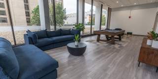 Vivo Living Gallery 12