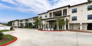 55+ Active Adult Apartment Homes - Ivy Point Klein Gallery 27