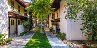 San Marco Apartments SMM Gallery 1