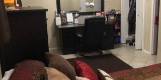 College Station - Northgate area -1 bedroom / 1 bath Apartment Gallery 8
