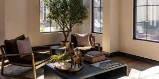 Livano Nations Gallery 17