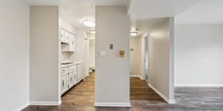 Williamsburg South Gallery 19