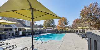 Parklight Gallery 31