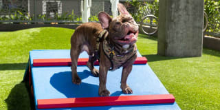 AVA Hollywood at La Pietra Place Gallery 26