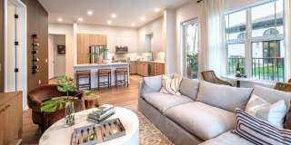 Lantower Sunrise Gallery 16