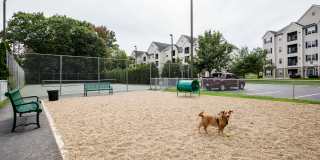 Heritage on the Merrimack Gallery 12