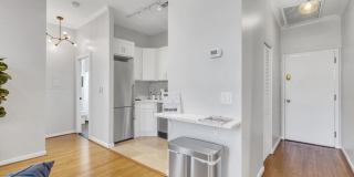 Sunny 1 bedroom/1 bath in Adams Morgan! Gallery 11