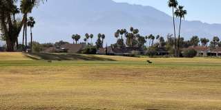 714 Inverness Drive Gallery 15