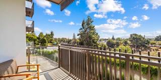 Windsor Winchester Windsor Winchester Gallery 23