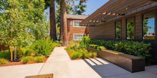 Peartree Apartments Gallery 14