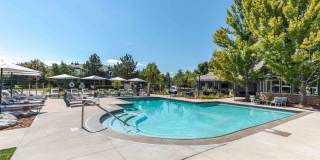 Palomino Park Resort Gallery 26