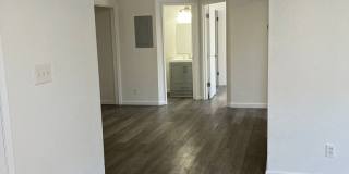 Wedgewood Apartments Gallery 7
