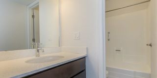 Treehouse Apartments Gallery 16