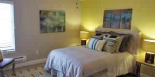 Ramblewood Apartments Gallery 41