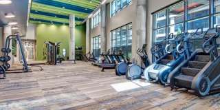 The Ardea Apartments Gallery 4