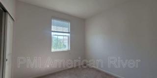 3805 Amelia Rose Way Gallery 6