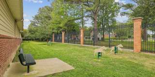 Nav850 at Olde Towne Gallery 19