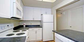 Ocean Crest Gallery 5