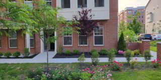 7328 HARLOW WAY Gallery 1