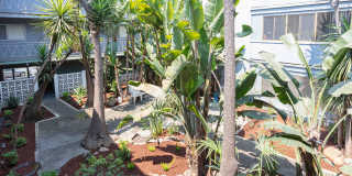 1540 Jackson Street Gallery 12