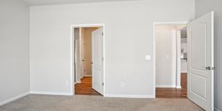 Poplin Trace Gallery 36