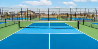 The Strand at Beulah Gallery 60