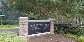 Cinnamon Run at Peppertree Farm Gallery 34