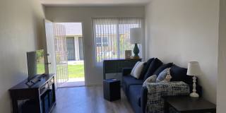 928 Chalcedony Street Gallery 1