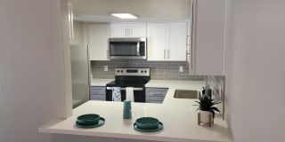 SITE Fifty55 Gallery 31