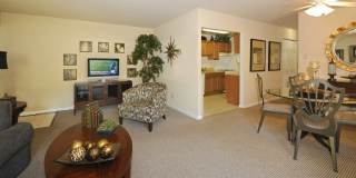 North Shore Gardens Apartments Gallery 15