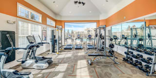 Aspen Ridge Gallery 8