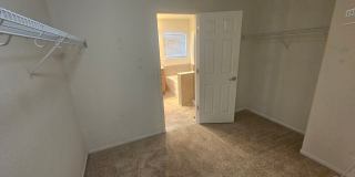 Amazing Home in NE Fort Collins Gallery 13