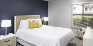 Breve Park Gallery 4