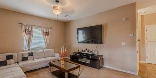 3240 PERUVIAN PASO Drive Gallery 15