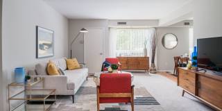 Metropolitan Doylestown Gallery 63