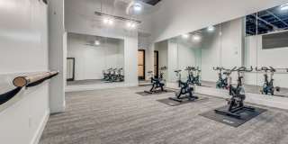 Mosaic Dallas Gallery 19