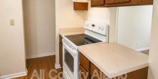 11782 Spring Song Gallery 11