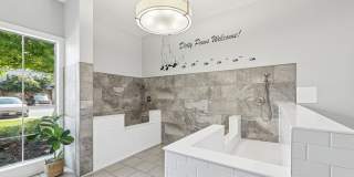 Villages at Turtle Rock Villages at Turtle Rock Gallery 15