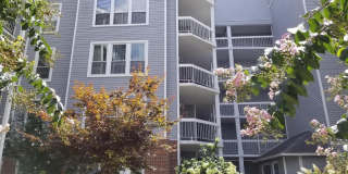 3178 SUMMIT SQUARE Drive Gallery 1