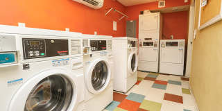 Country Club Gardens Gallery 7